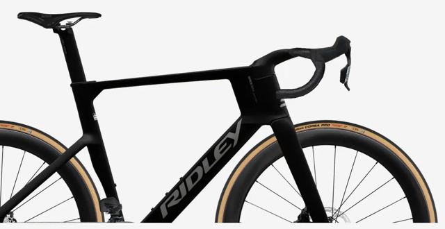 Ridley Noah Fast 配色:Black・Empress Grey Metallic Logo